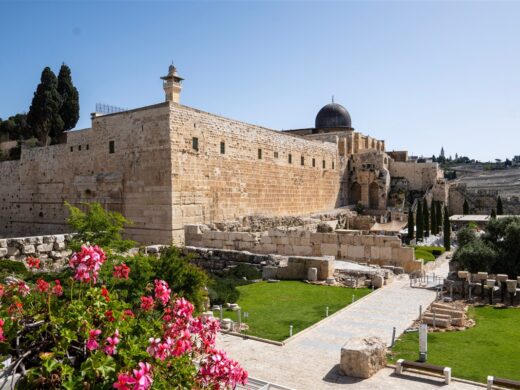 Blick durch blühende Blumen im Archäologischen Park Ophel auf die antiken Ruinen und die Al-Aqsa-Moschee an der Südmauer in Jerusalem